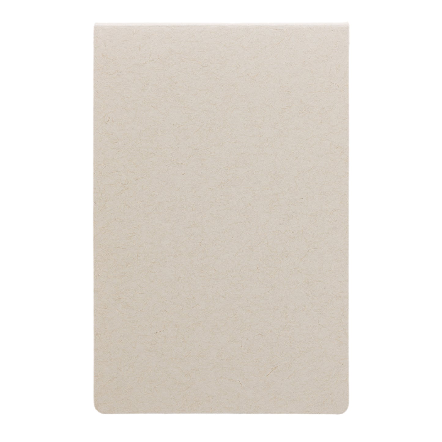 LL8829 Codex Spiral Sticky Notes