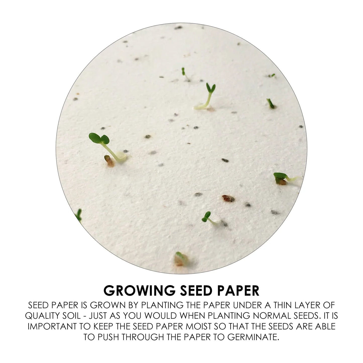 Corn Poppy Seed Sticky Note Pad - PrintaPromo