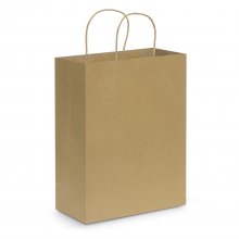 107590 Paper Carry Bag - Large