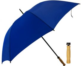 T19 Budget Promo Umbrella