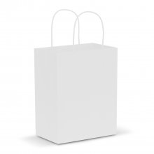 107586 Paper Carry Bag - Medium