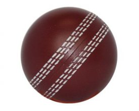 S16 Cricket Stress Ball