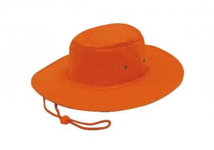 Fluoro Orange