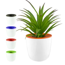 Mini Desk Plant Pot - PrintaPromo