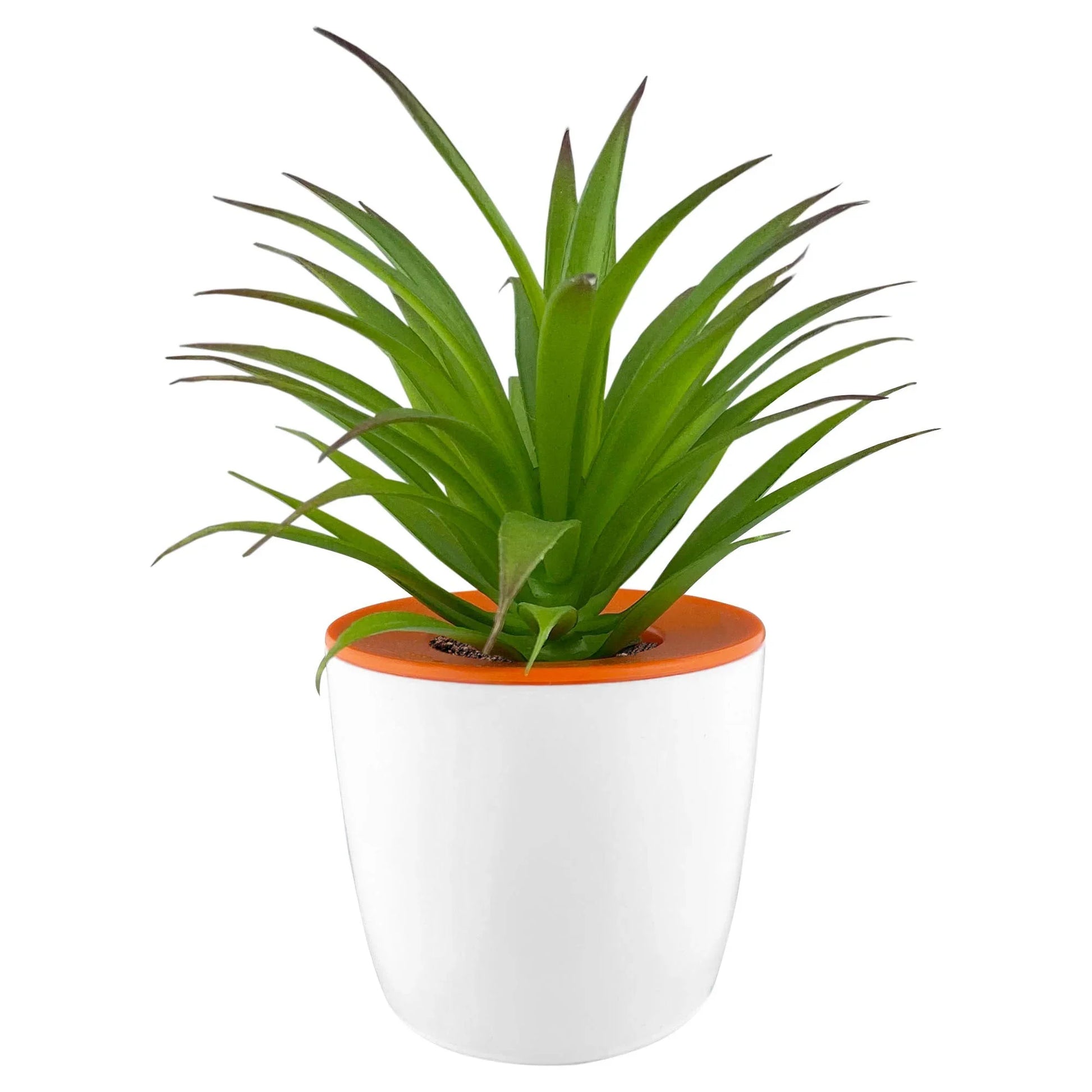 Mini Desk Plant Pot - PrintaPromo
