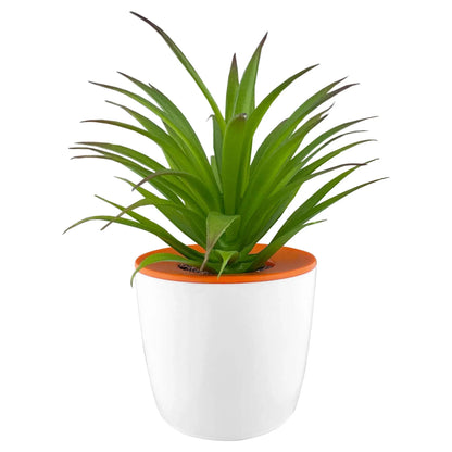 Mini Desk Plant Pot - PrintaPromo
